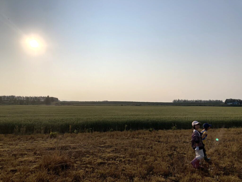 7月～小麦刈りへいってきました