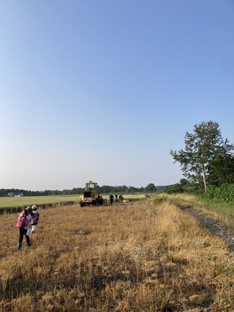 7月～小麦刈りへいってきました