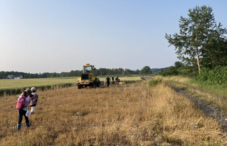 7月～小麦刈りへいってきました