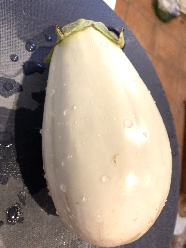 夏野菜で暑い日々を乗り切ろう！