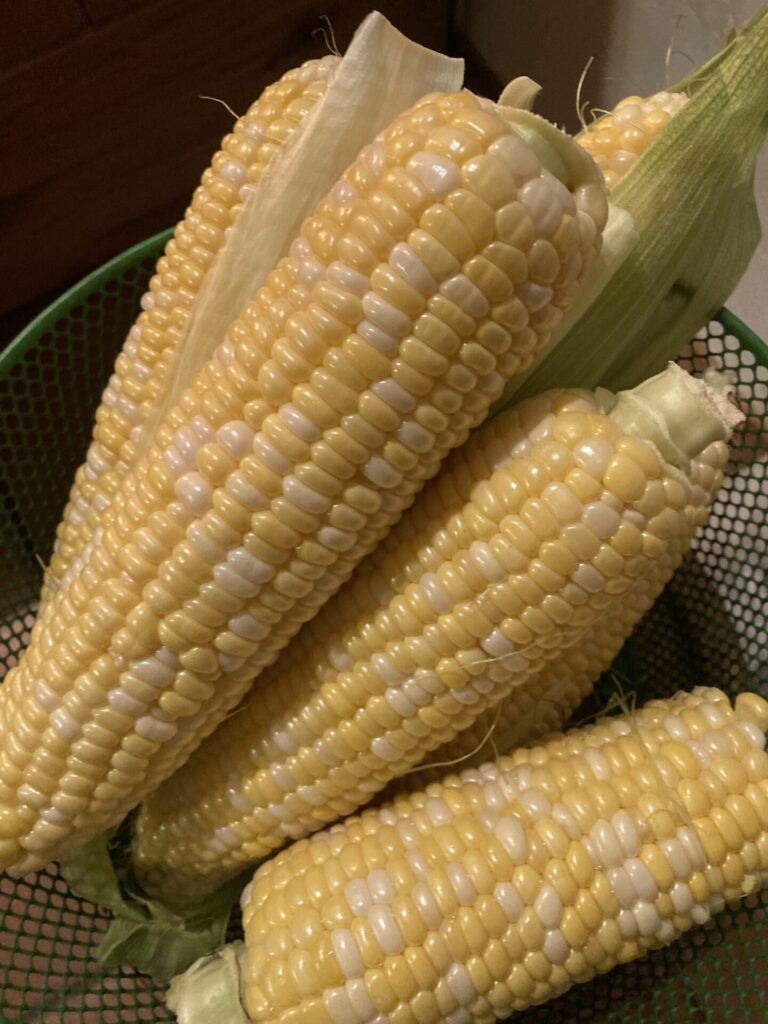 夏のご馳走～スィートコーンと簡単レシピ