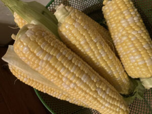 夏のご馳走～スィートコーンと簡単レシピ