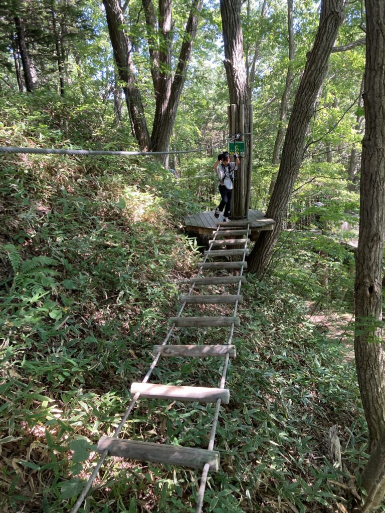 夏休みの日帰りレジャー~フォレストアドベンチャー恵庭へ