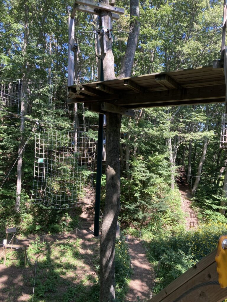 夏休みの日帰りレジャー~フォレストアドベンチャー恵庭へ