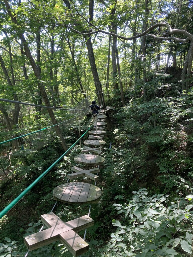 夏休みの日帰りレジャー~フォレストアドベンチャー恵庭へ