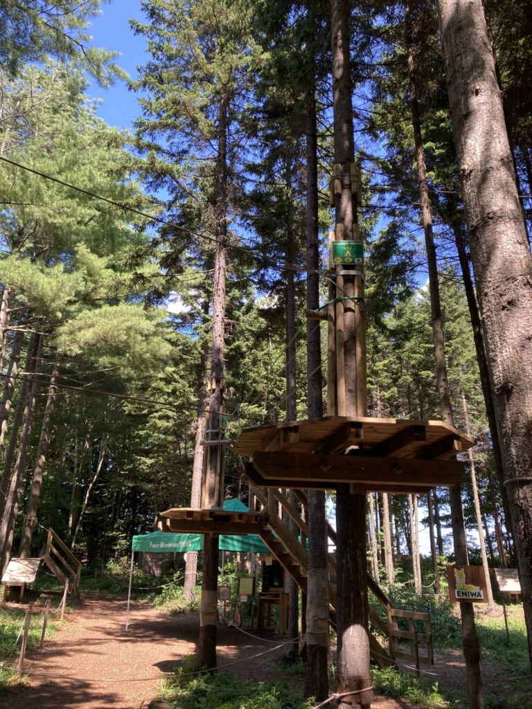 夏休みの日帰りレジャー~フォレストアドベンチャー恵庭へ