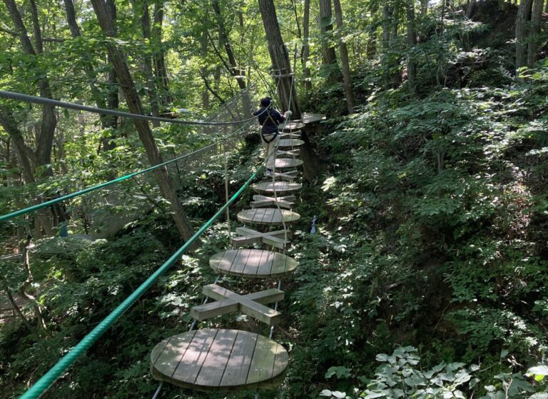 夏休みの日帰りレジャー～フォレストアドベンチャー恵庭へ