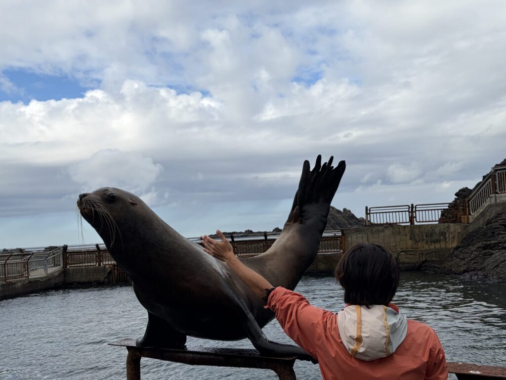 このあと鮭の丸のみも見れました