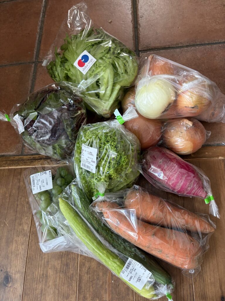 帯広競馬場ことばんえい十勝