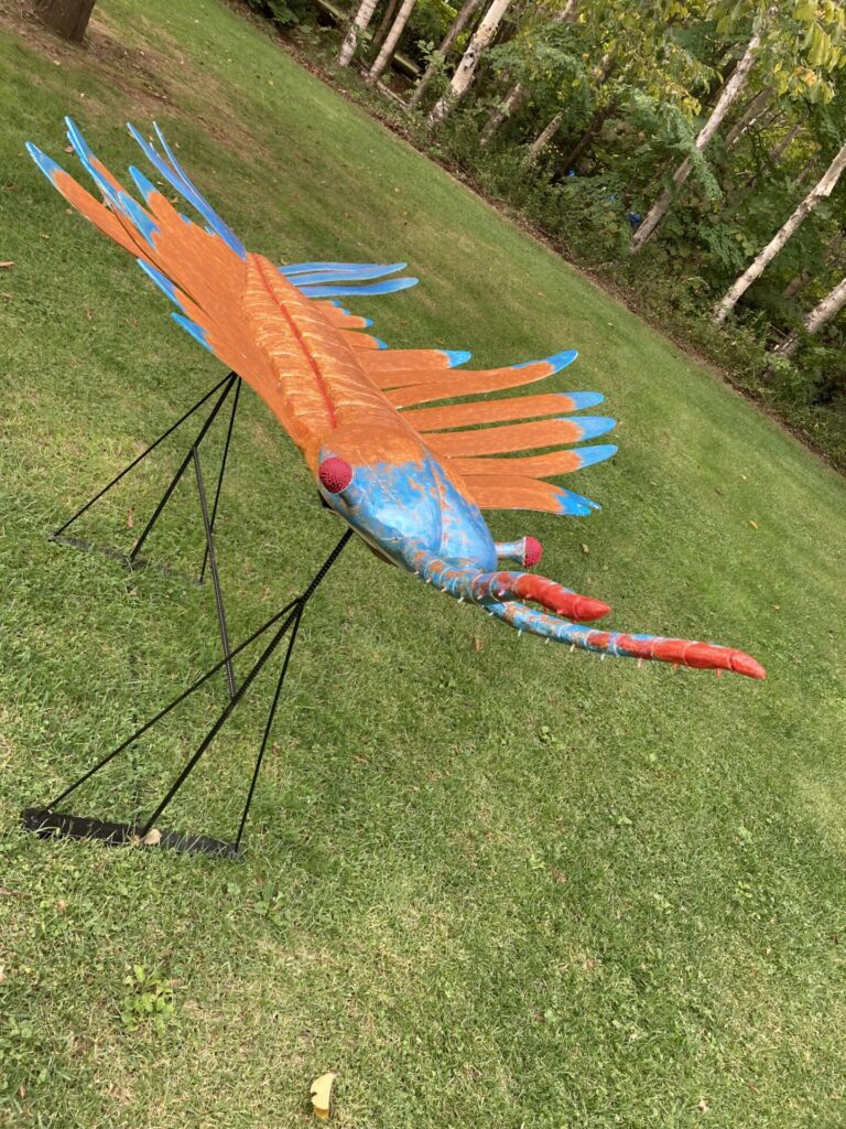 はぐくーむの森散策 ジブリ映画にでてきそう