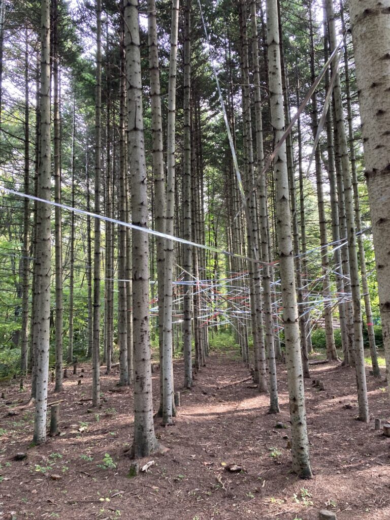 はぐくーむの森散策 こちらにもオブジェなどがあります