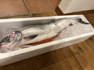 初めての解体！～今が旬の秋さけ