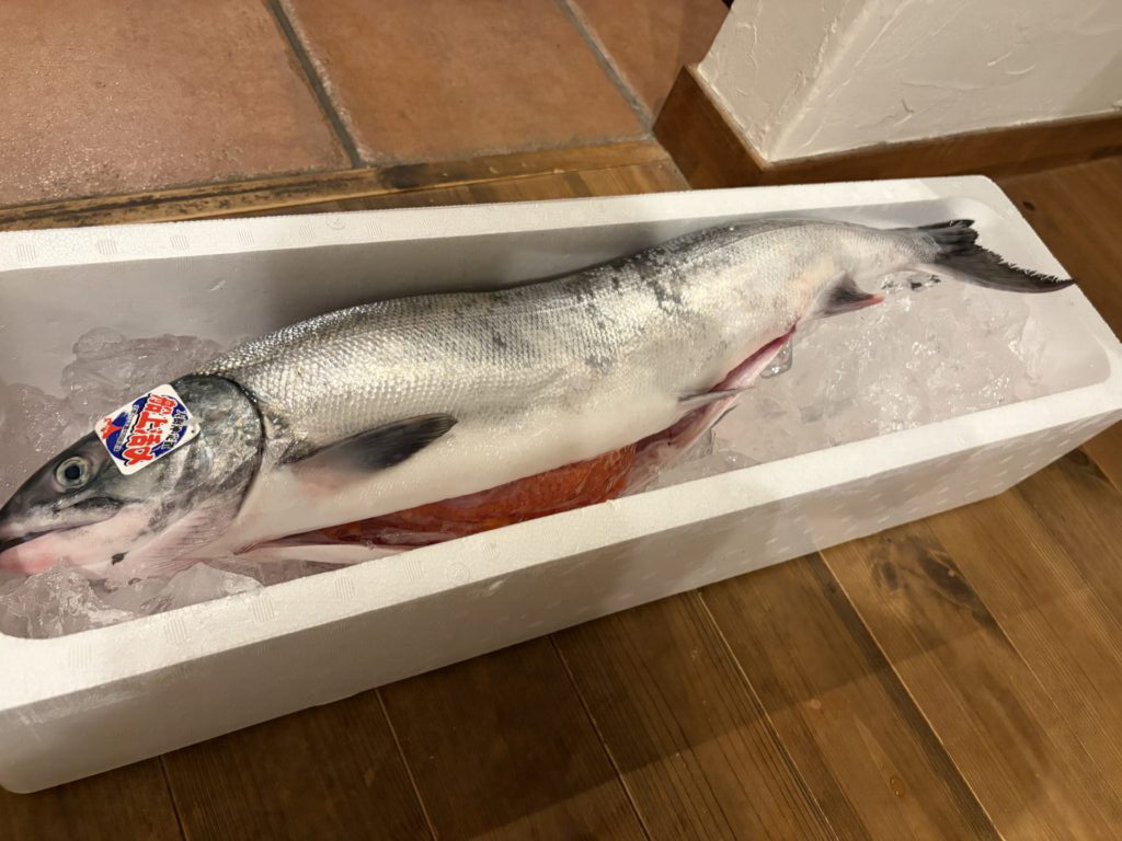 初めての解体！～今が旬の秋さけ