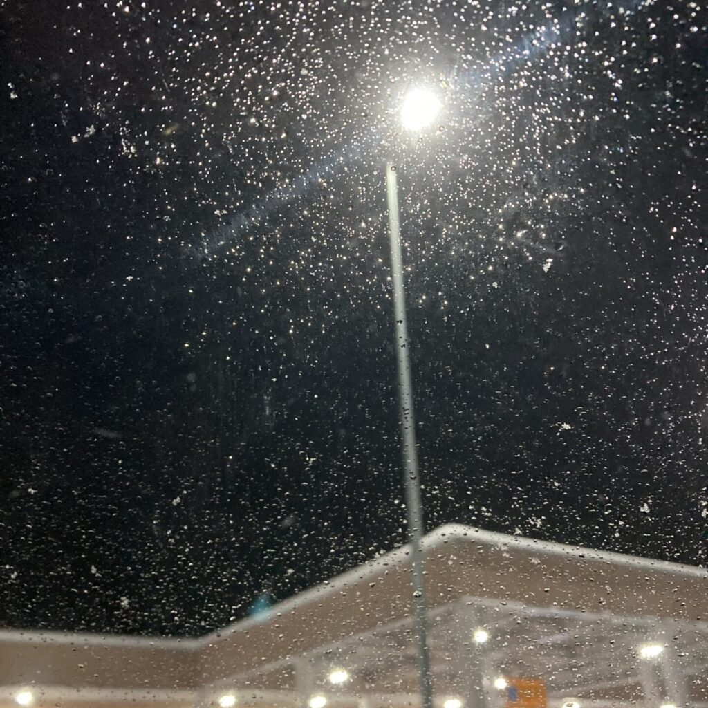 冬の遠出～札幌いってきました