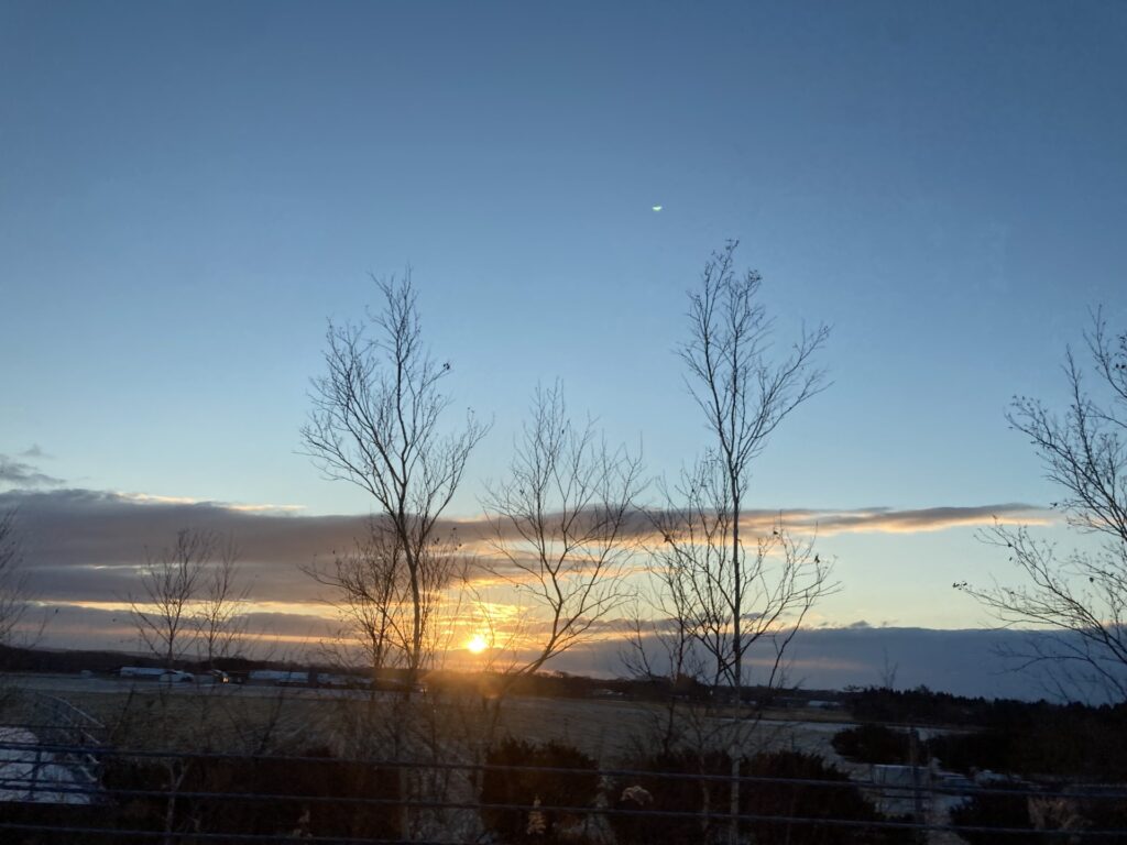 冬の遠出～札幌いってきました