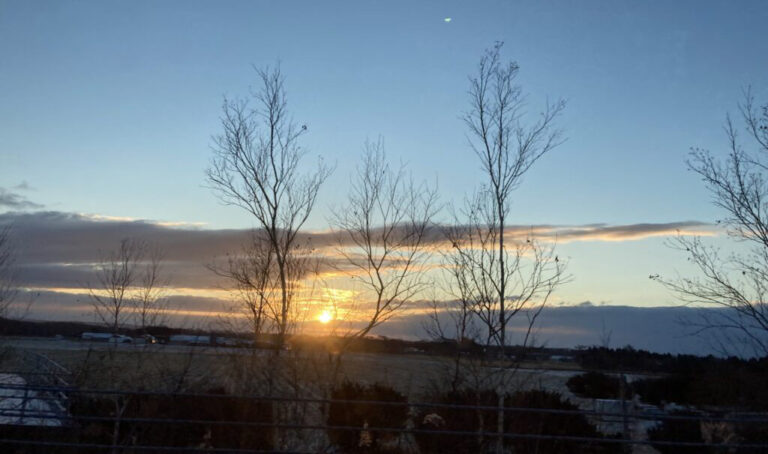 冬の遠出～札幌いってきました