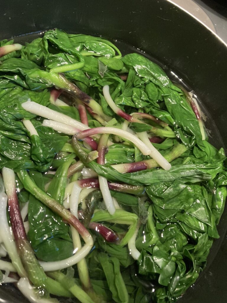 春の醍醐味～山菜とりへ・行者にんにく