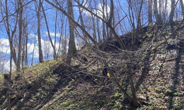 春の醍醐味～山菜とりへ・行者にんにく