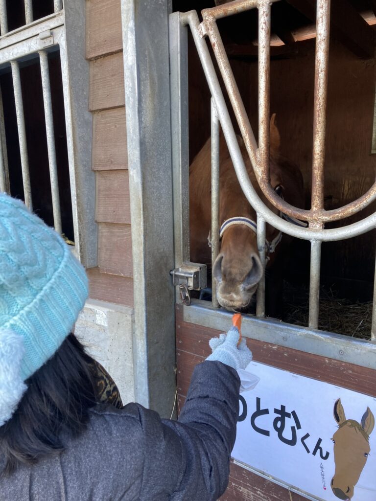 2025年　1月　年始　本年もよろしくお願いいたします