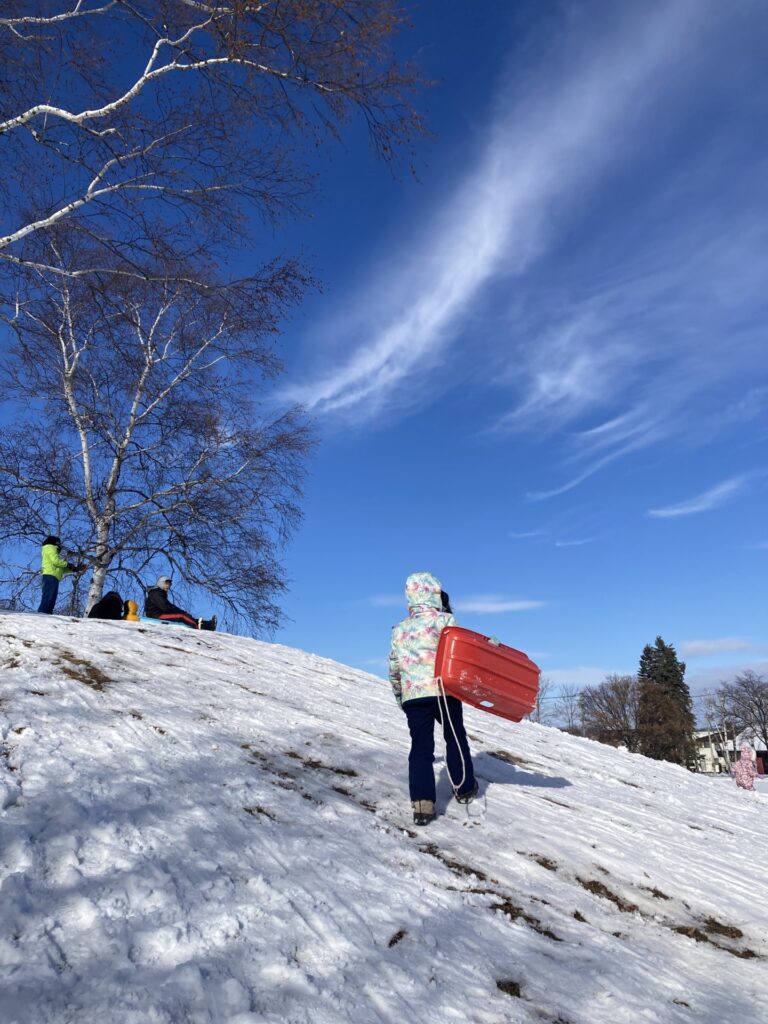やっと雪！十勝の降雪量が半端なく少ない1月