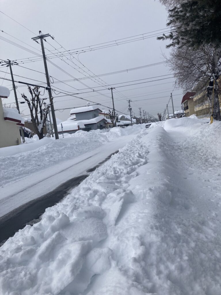 十勝の記録的な大雪は５３年ぶり～学校も休校へ