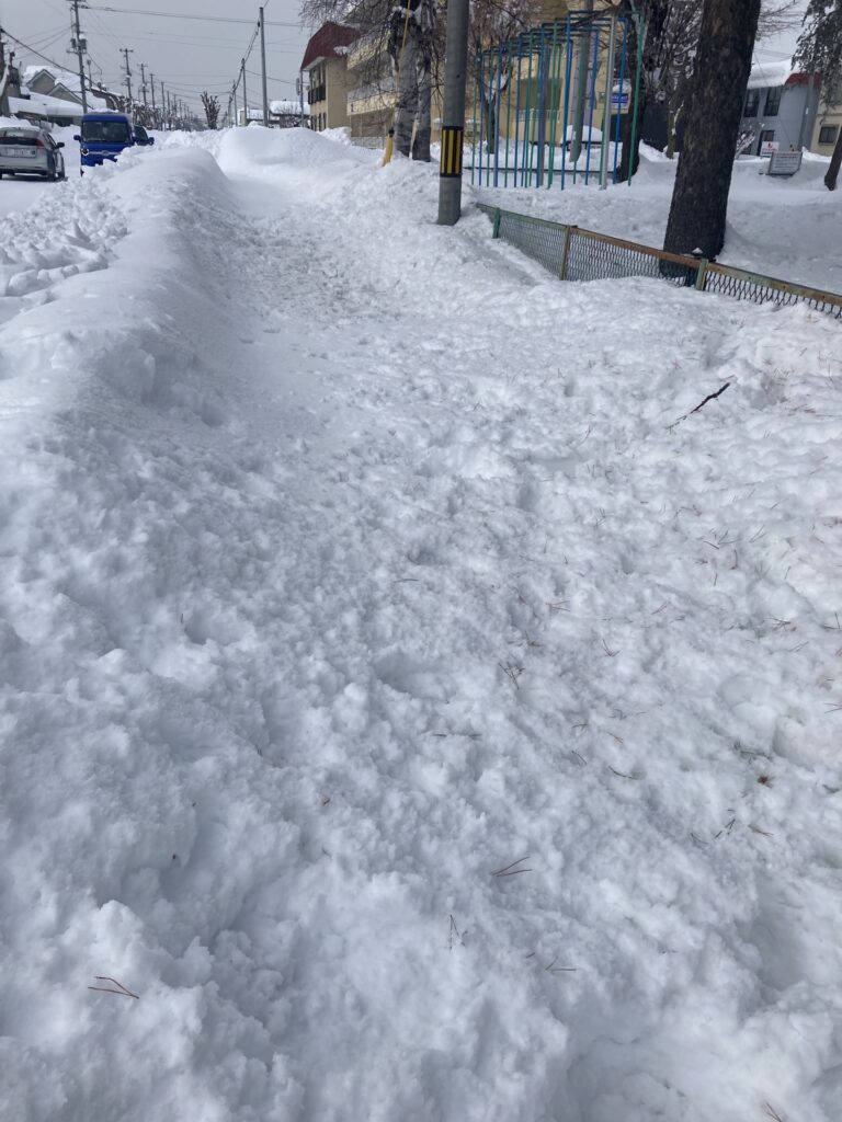 十勝の記録的な大雪は５３年ぶり～学校も休校へ