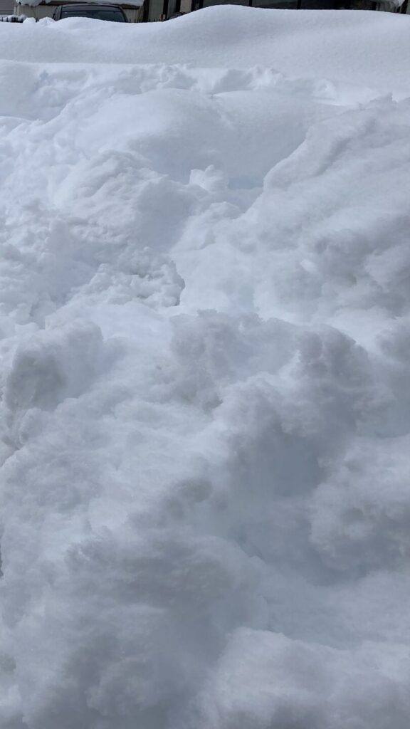 十勝の記録的な大雪は５３年ぶり～学校も休校へ