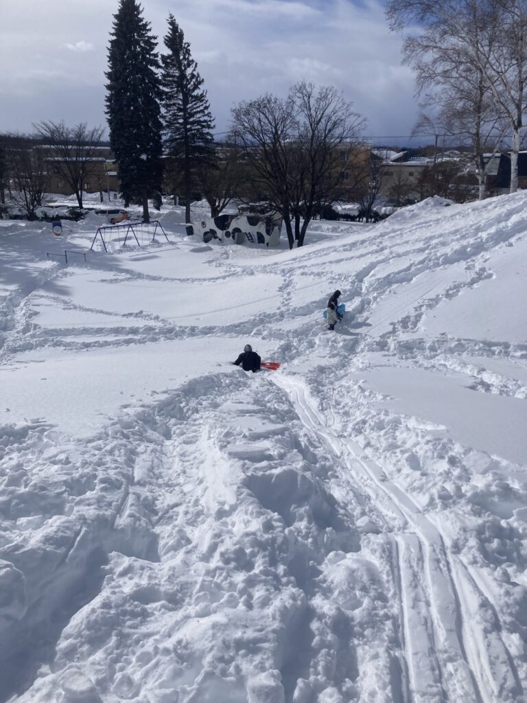 先陣をきって道を作る～十勝の雪遊び（ソリ滑り）