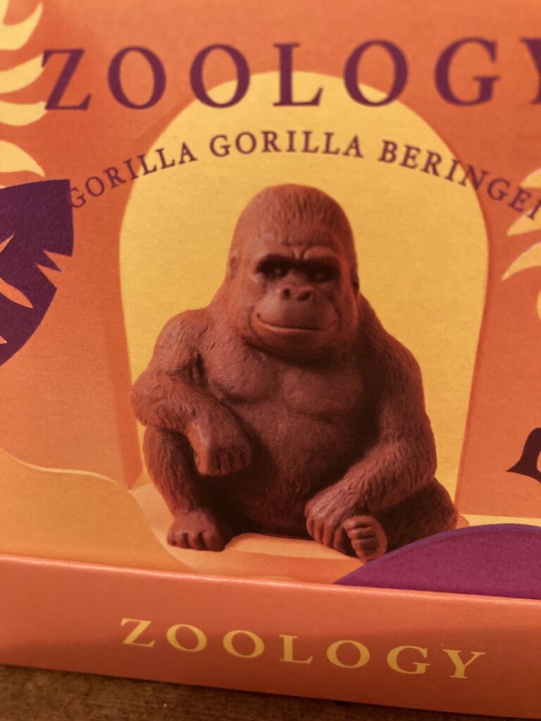 Antiquecise 明日13日はお休みです