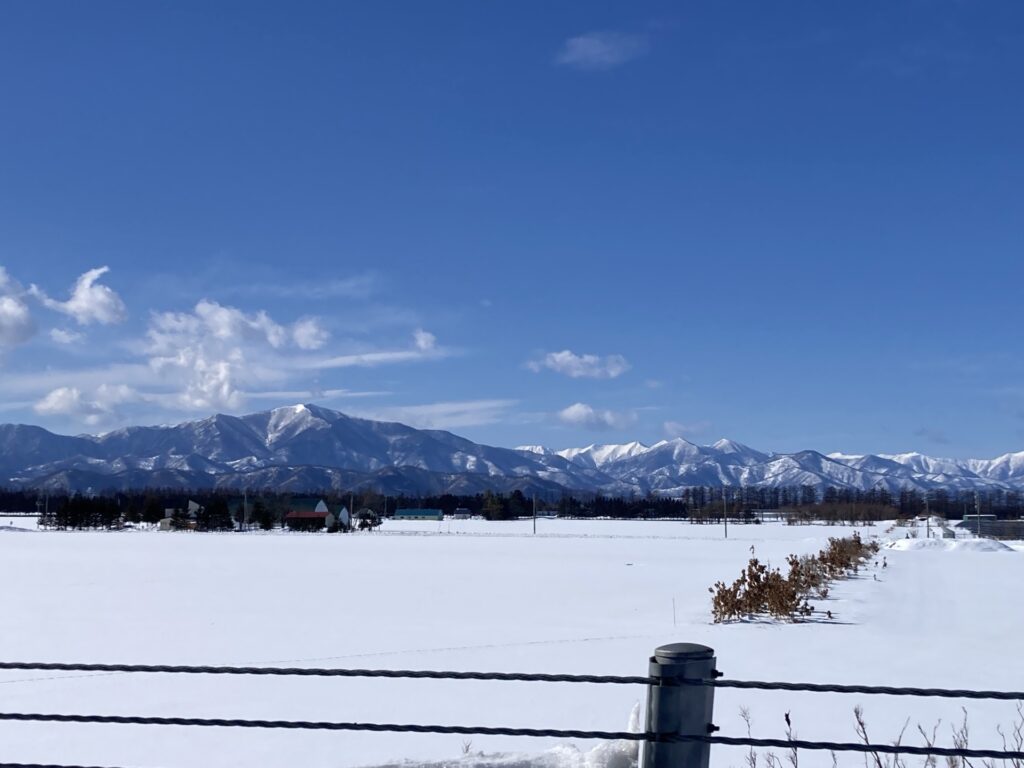 ついに！念願の！味噌つくりに参加しました💛