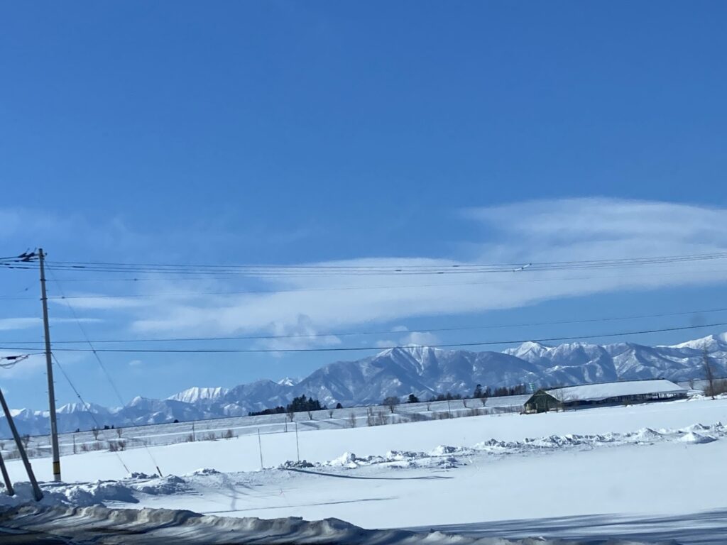 ついに！念願の！味噌つくりに参加しました💛