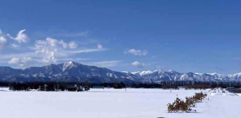 ついに！念願の！味噌つくりに参加しました💛