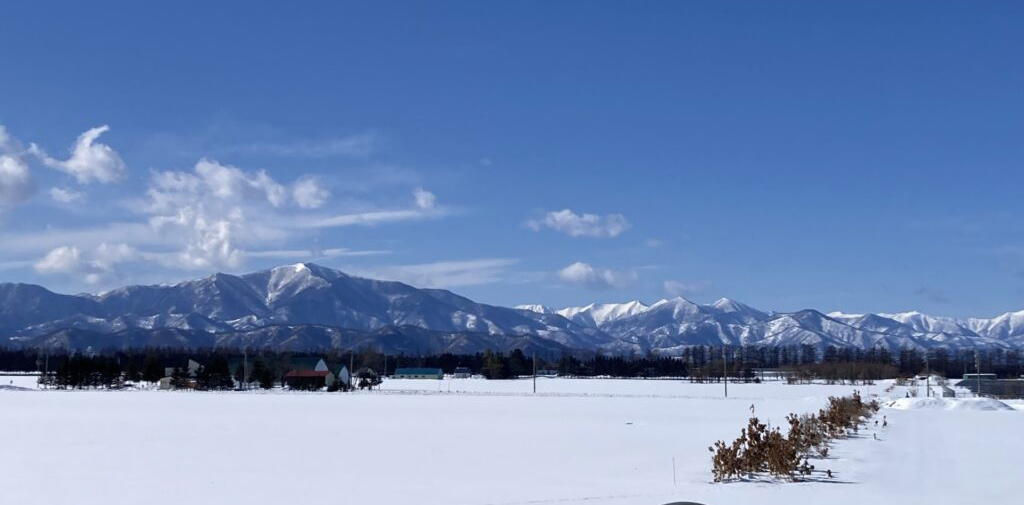 ついに！念願の！味噌つくりに参加しました💛