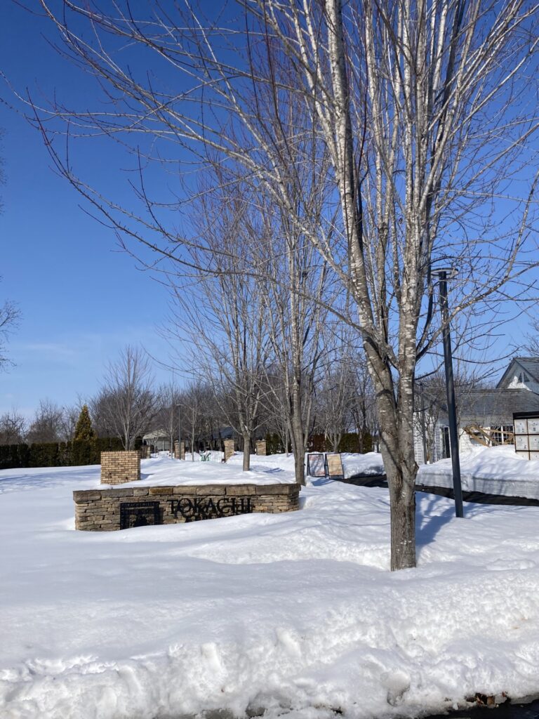 久しぶりのワークショップ参加～十勝ヒルズへいってきました