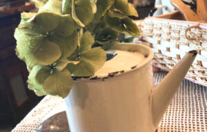 もうすぐ春～卒業シーズンがやってきました