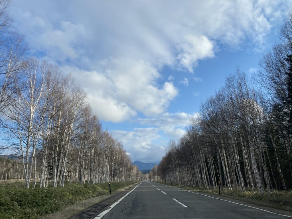 旭川GW後半～旭山動物園へ行ってきました