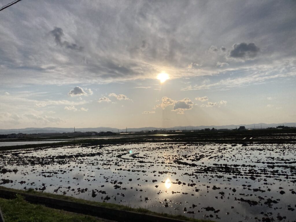 旭川GW後半～旭山動物園へ行ってきました