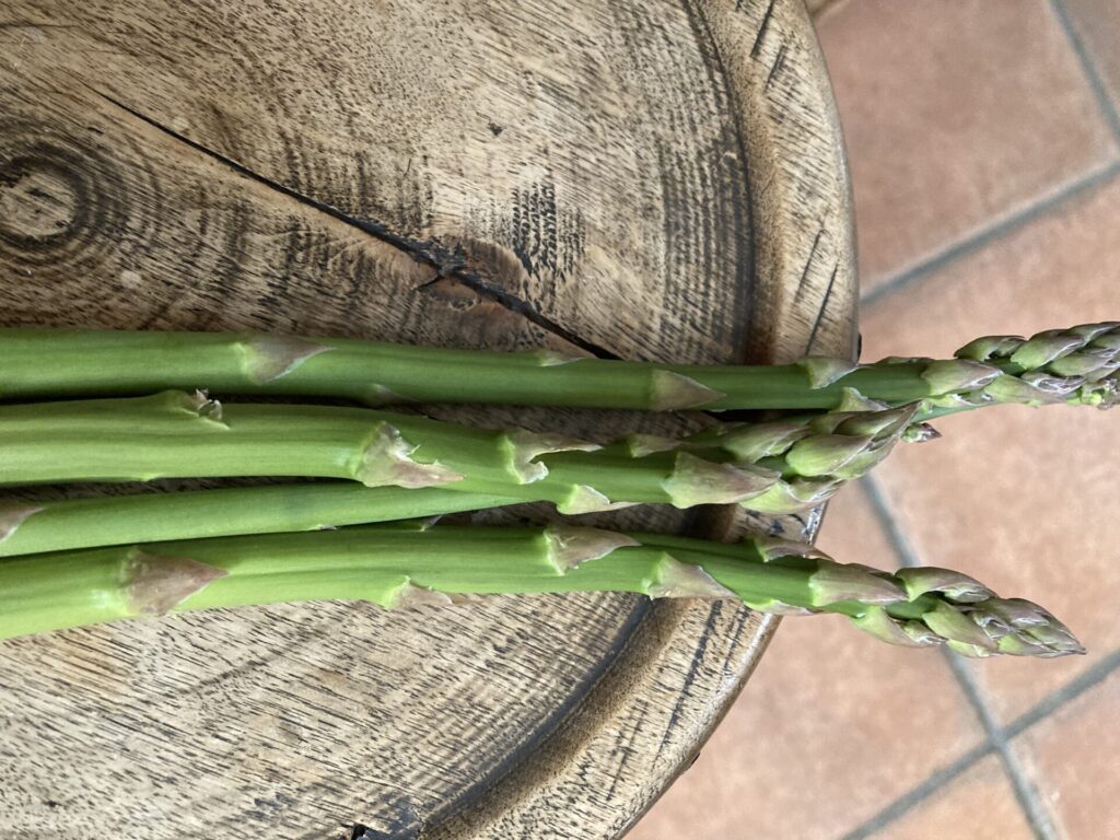 家庭菜園だより～十勝の気候