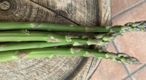家庭菜園だより～十勝の気候