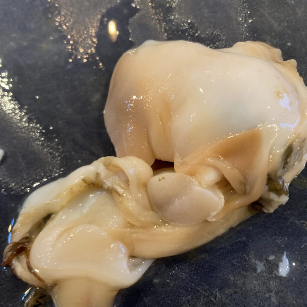 美味しいもの～新鮮な海の幸