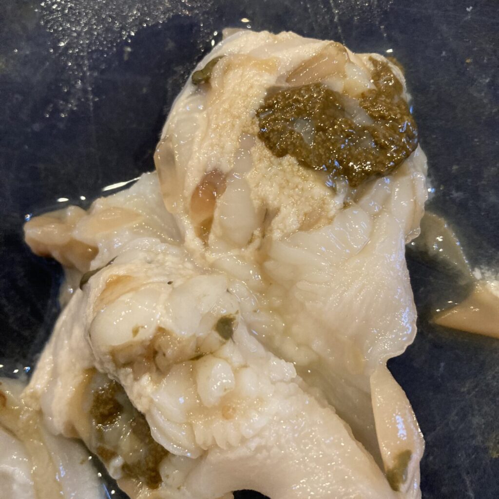 美味しいもの～新鮮な海の幸