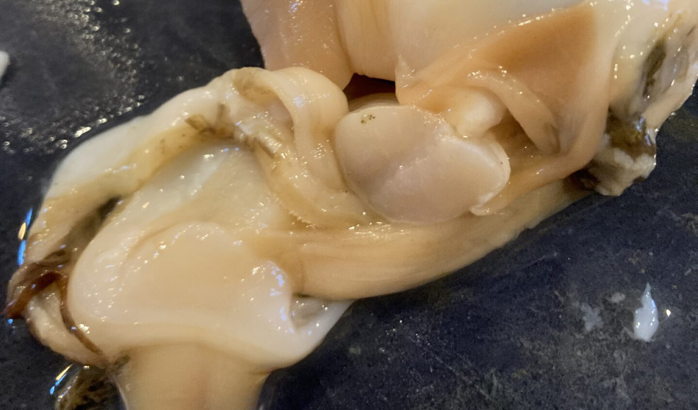 美味しいもの～新鮮な海の幸