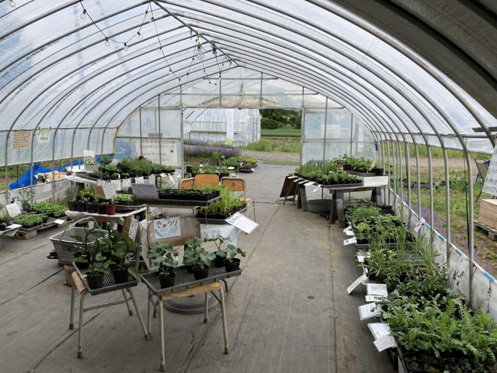 家庭菜園順調に～廣田農園さんの苗