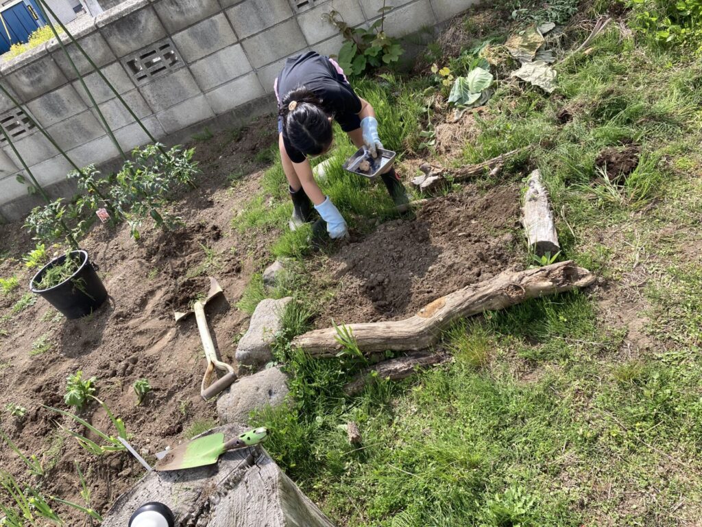 家庭菜園順調に～廣田農園さんの苗