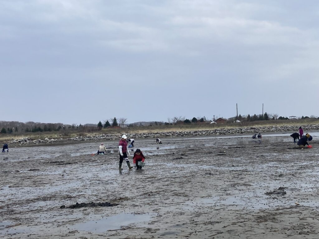 山菜採りに潮干狩り～能取湖へいってみた