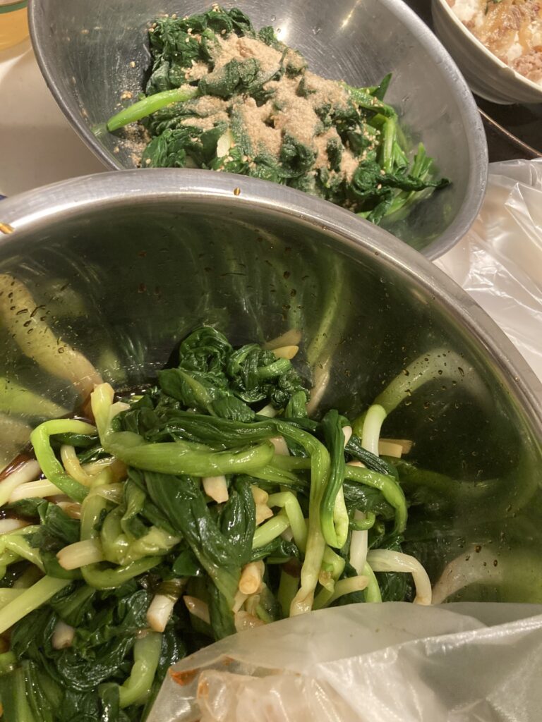 山菜採りに潮干狩り～能取湖へいってみた