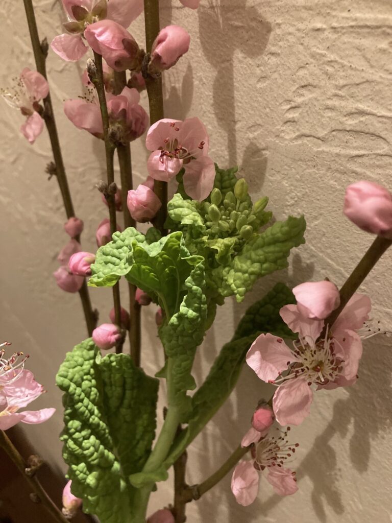 3月まだまだ雪の十勝～ひな祭り