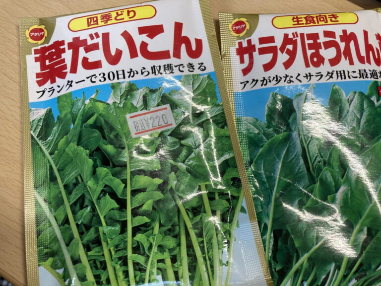 今日から新学期～4月から始める家庭菜園