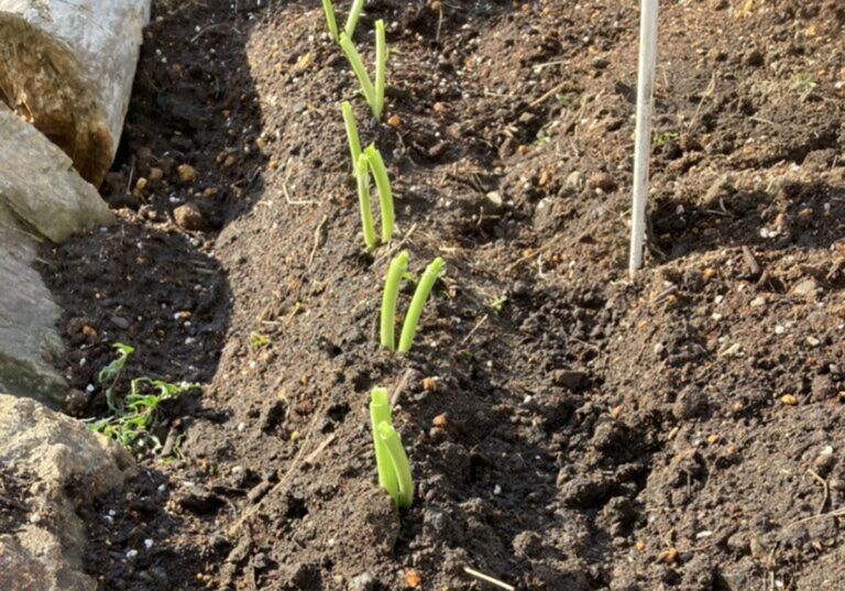 検証～同じものでも外で食べたほうが美味しい説