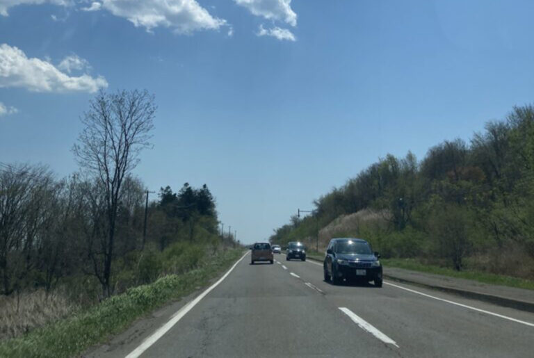 十勝美味しい～山菜採り第二弾はタラの芽